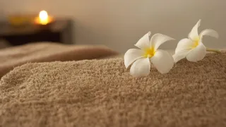  | Ming liu 88 spa