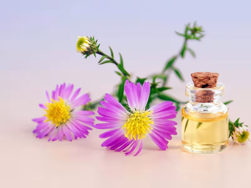 651 Spa | Massage