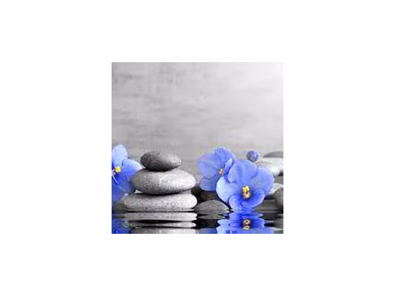Bluebell Spa