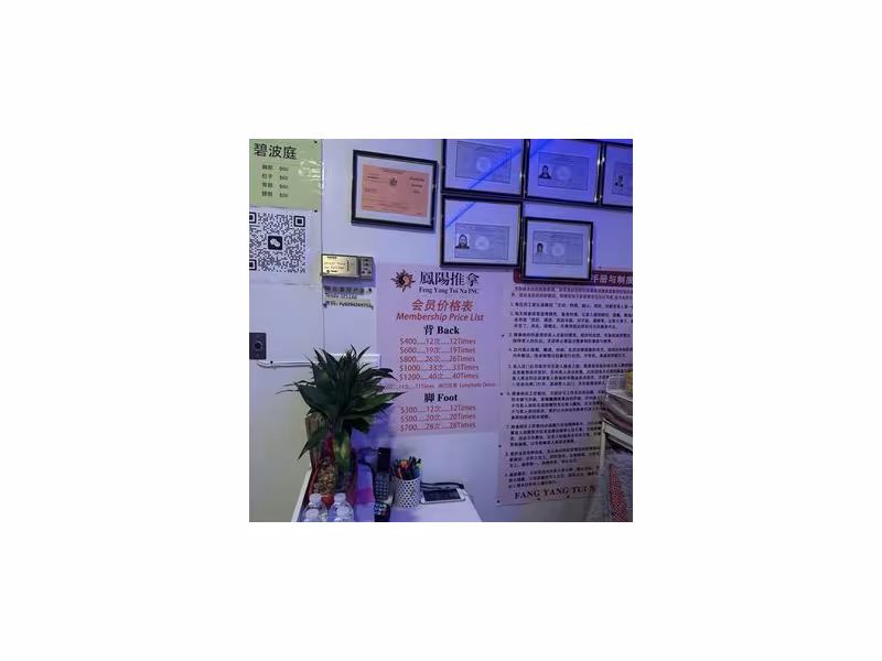 Feng Yang Tou Liao