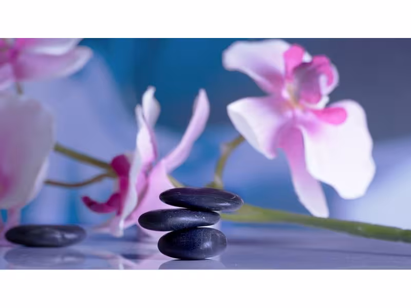 Health Enjoy Foot Spa