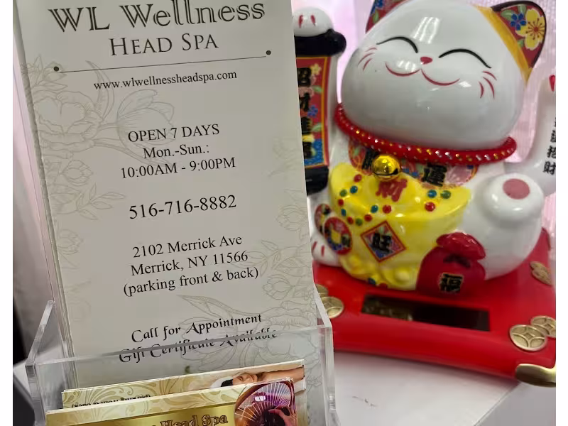 WL Wellness Head Spa
