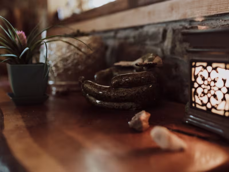 Wandering Woods Healing and Massage